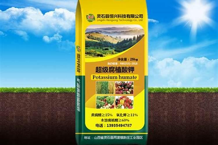 什么肥含钾高效果好