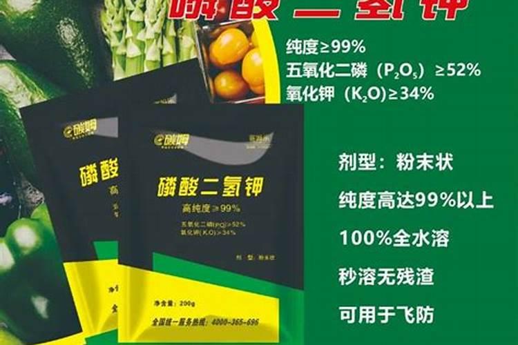 茶花有花蕾后喷磷酸二氢钾行吗