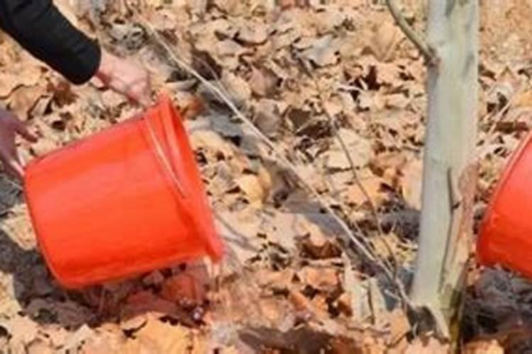 山东农大肥料科技有限公司重点品牌