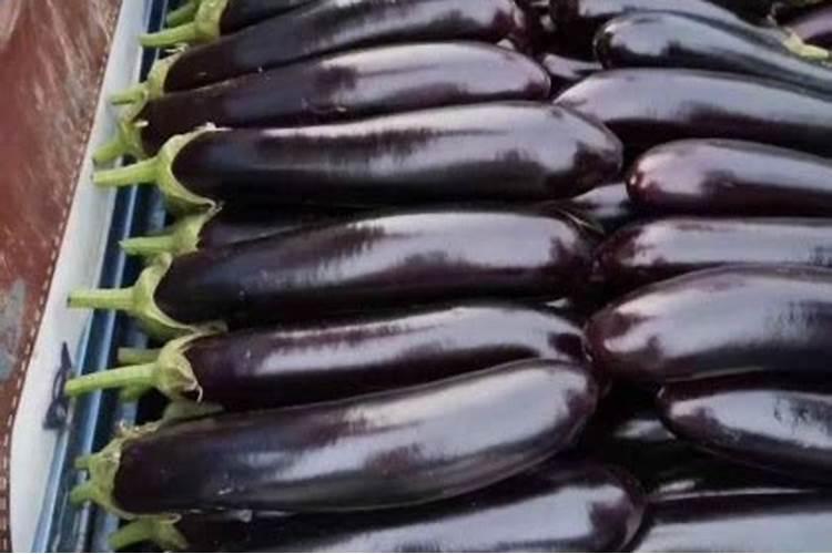 露地栽培茄子应怎样配方施肥？