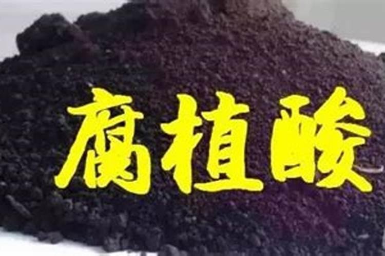 腐植酸是什么东西？有什么作用？