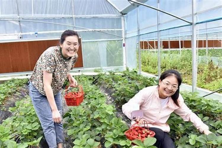 蚯蚓粪有什么作用和用途？