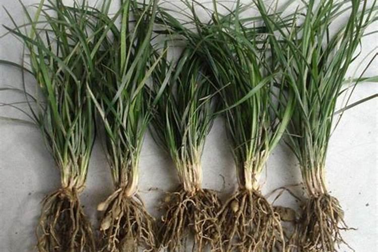 菏泽华盛荣镁业累不累