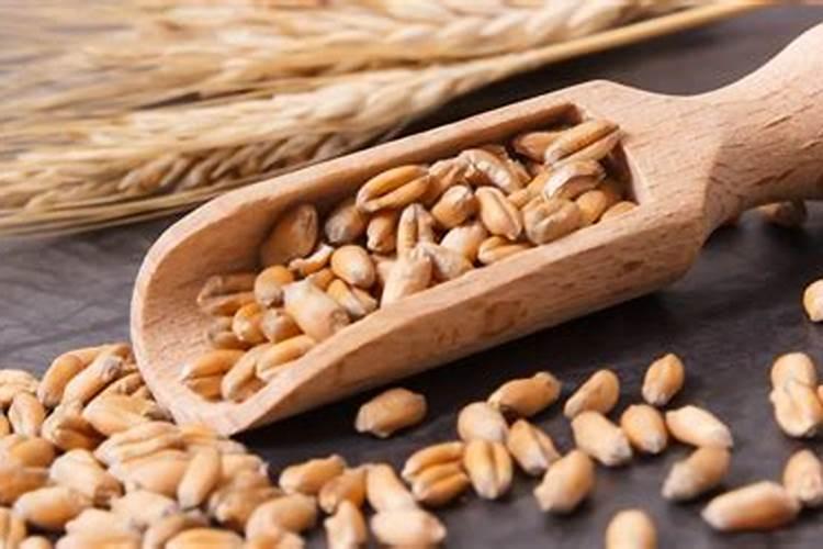 施叶面肥多久浇一次水最好