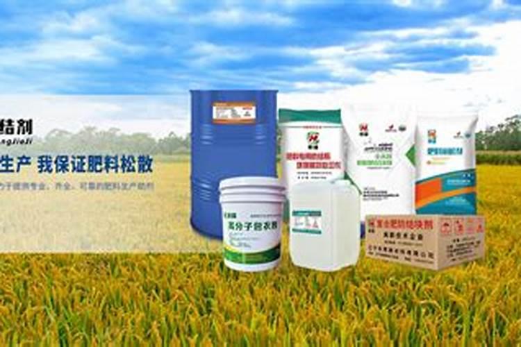 茶苗移栽多久可以施肥