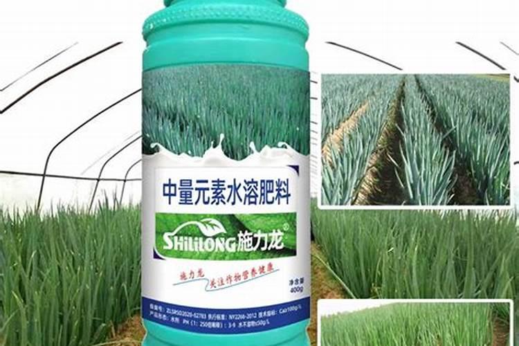 大葱生长需要什么肥料