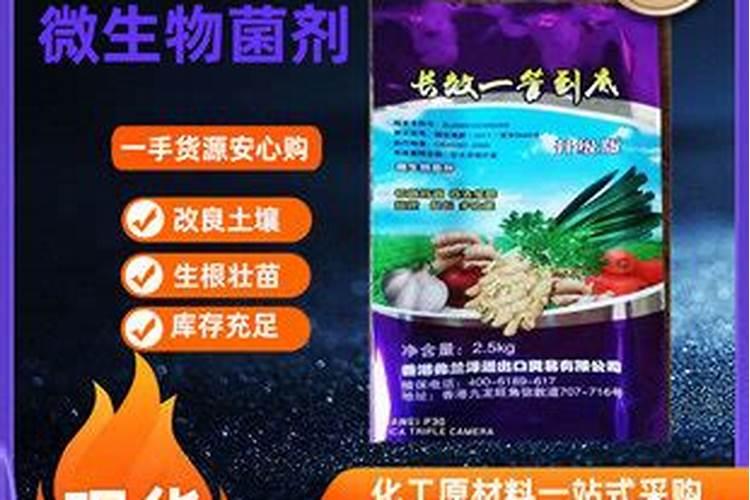 种植大葱怎么施肥能高产？