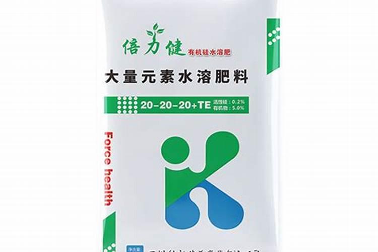 粉掌用什么肥料