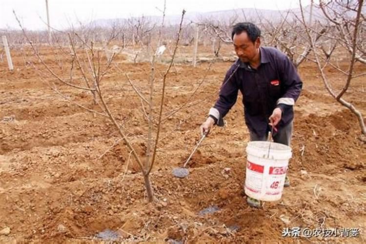 南阳乙醇占全国第几