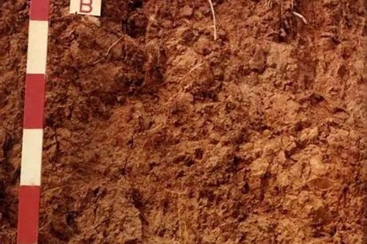 什么叫大量元素