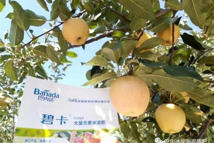 桃树用什么钾肥？
