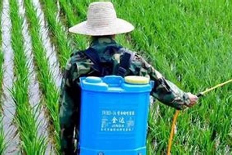 葡萄园里可以打除草剂吗？如果可以,一般都是什么时候打,打什么样的除草...