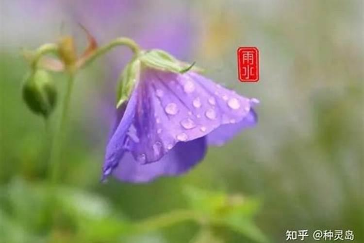 生活中常见的天然氮肥有哪些