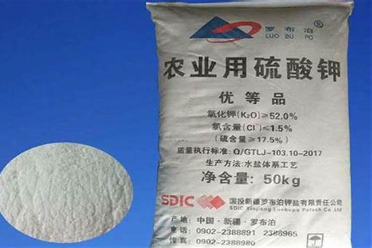 我的世界树叶有什么用