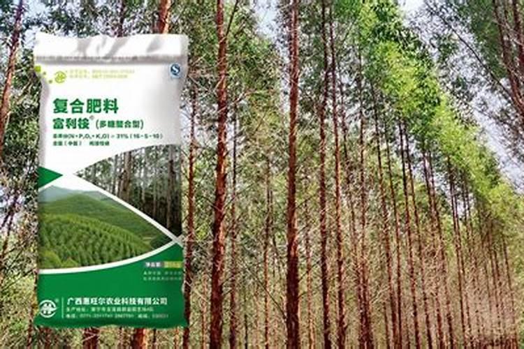 种植桉树底肥放多少