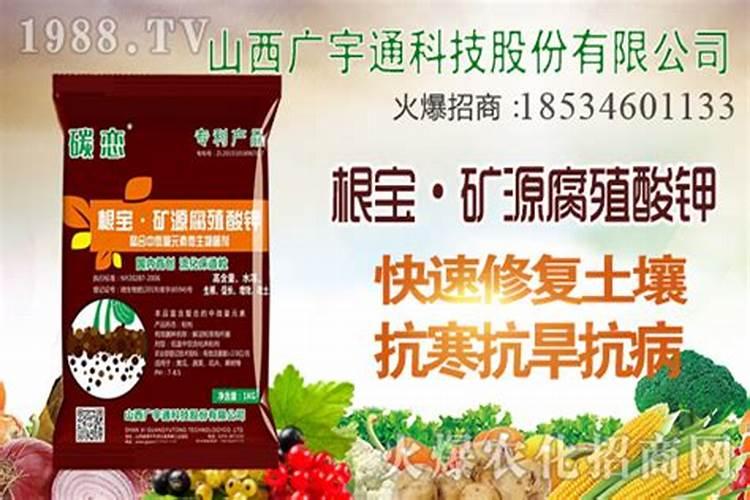 什么肥料能促长植物的根