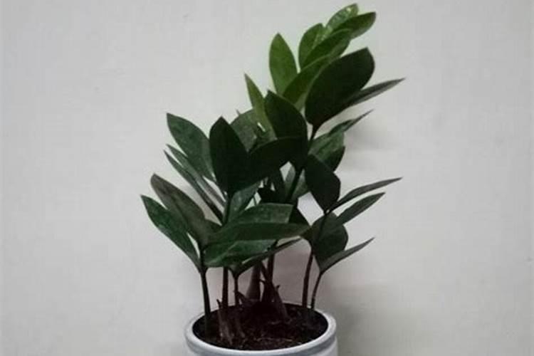 桶装水水厂倒闭,如何拿回押金