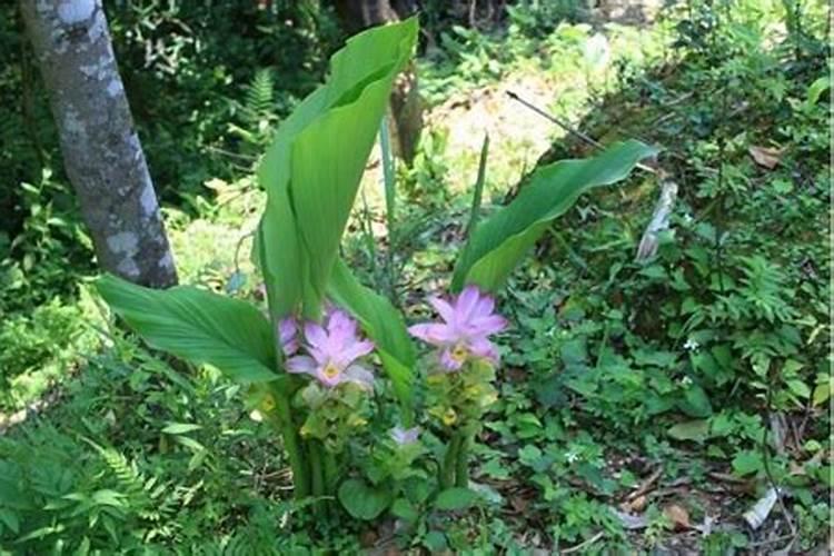 大豆种植需要施什么肥料？