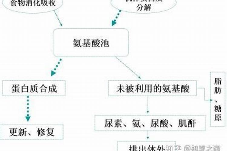 花芽分化用什么叶面肥