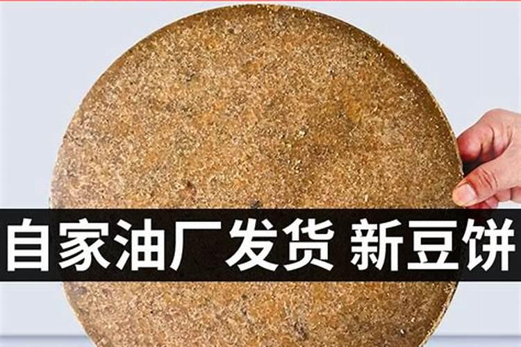 豆饼和香蕉发酵后那个浇花会更好？