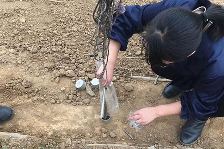 给花施肥的正确方法