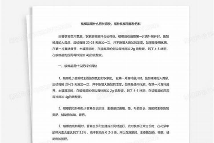 槟榔施什么肥保果