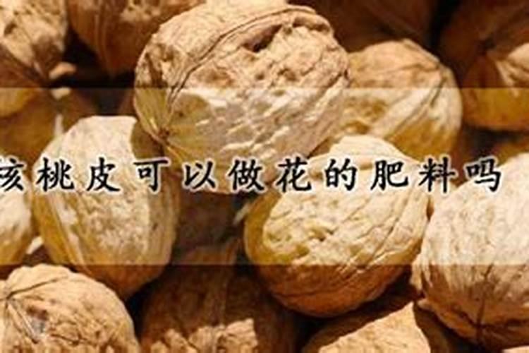 请问水培植物用什么肥料