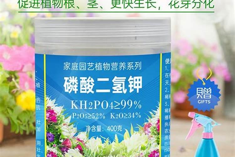 磷酸二氢钾用于哪些花