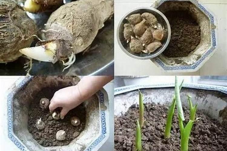 怀孕五个月医生开了康耐得多维元素胶囊和醋酸钙颗粒,吃这个有作用...