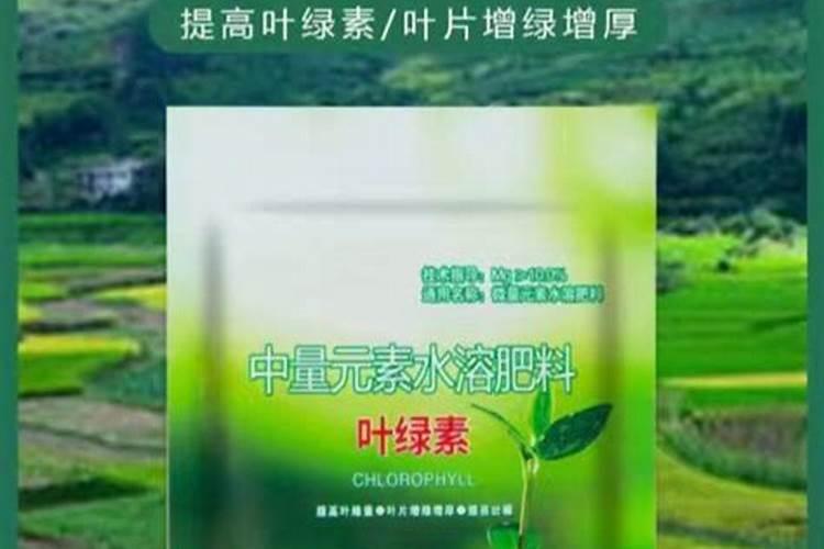 上海牡丹香烟有几种