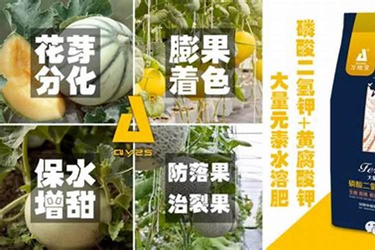 氮磷钾肥分别有什么作用