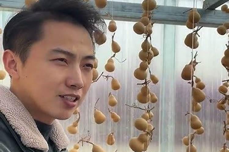 葫芦浇什么肥料合适