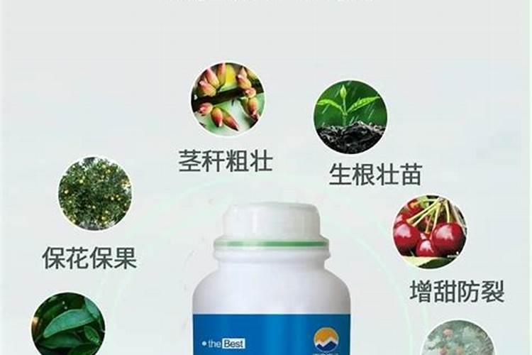 中微量元素肥料有哪些