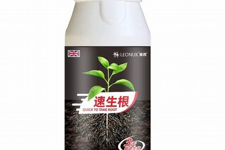 土豆种子一亩地种多少斤