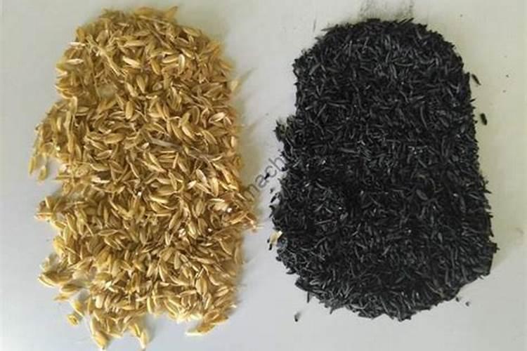 稻壳炭适合种植什么花容易成活？