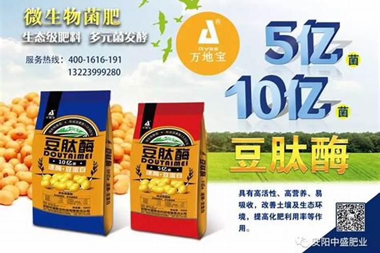 马铃薯喷施叶面肥有什么技巧？