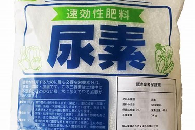 西安平果几年桂果