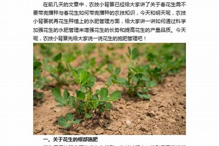 油菜底肥施用方法