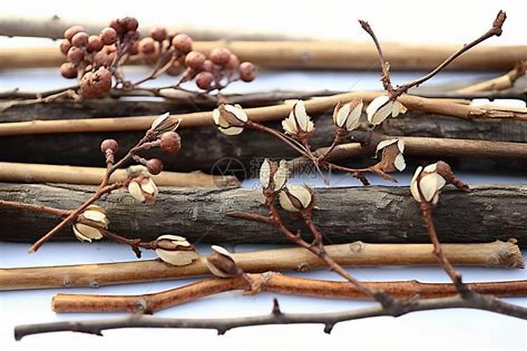 樱花油烟机是哪个国家的品牌