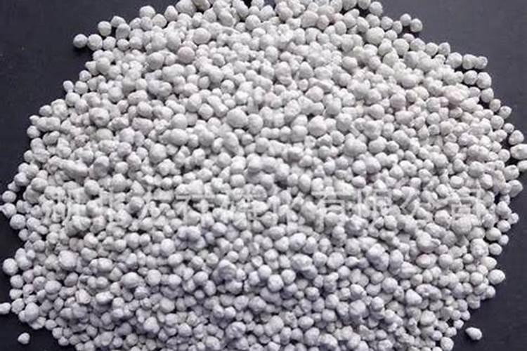 家中可不可以种无花果树 无花果喜欢怎么的生长环境