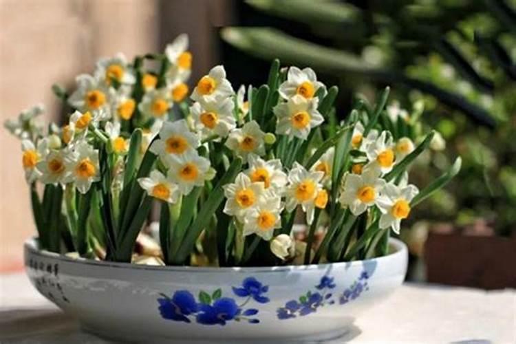 种菜前如何施底肥