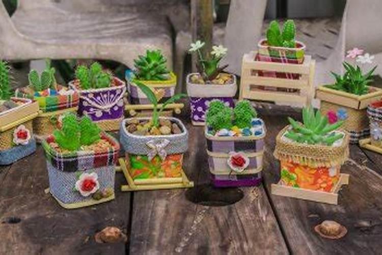 白玉兰怎么施肥