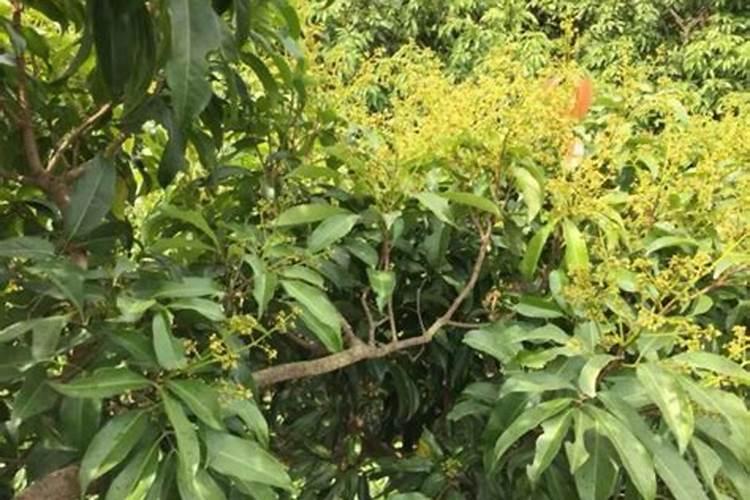 氮肥行业形势严峻 创新发展时不我待