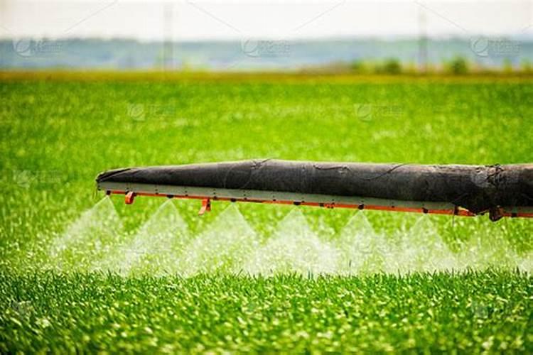 小麦三遍药什么时间打 最佳喷施时间