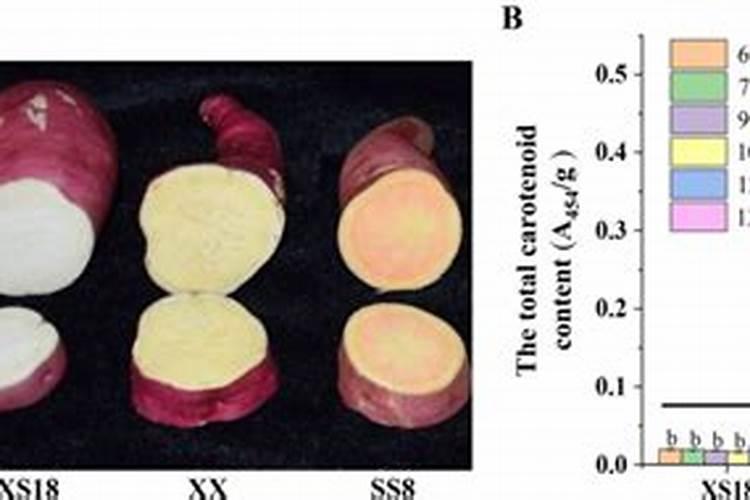 氮肥。磷肥 钾肥的作用