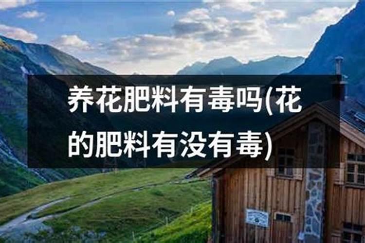 氮肥养花起什么作用