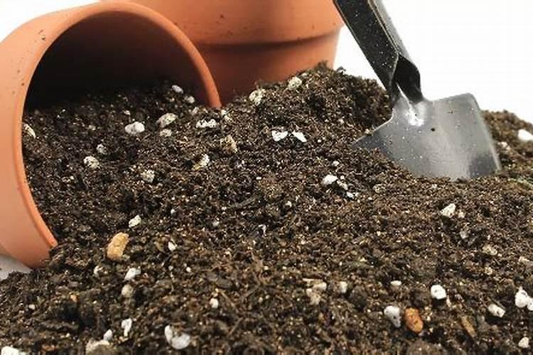 养花什么时候施氮肥(给花施氮肥比例是多少)