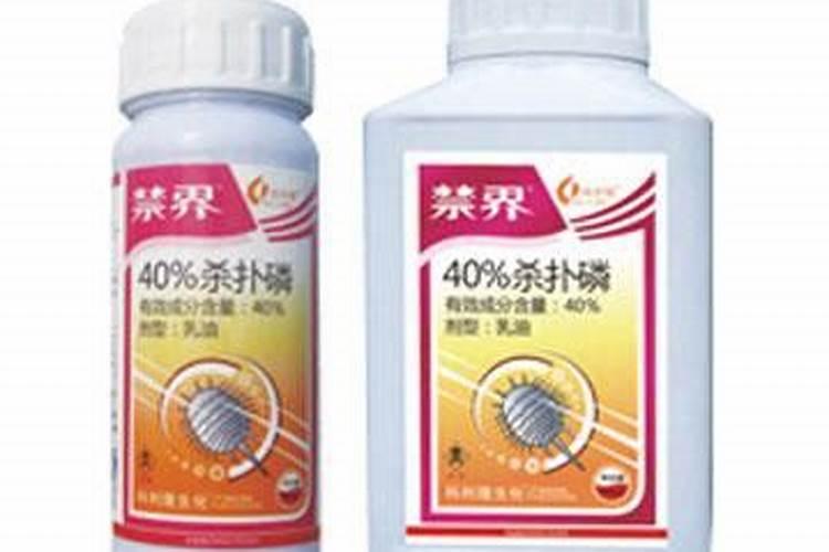 冬桃管理技巧有哪些？