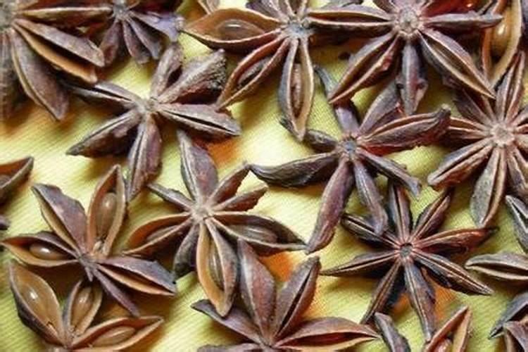 八角树施什么肥料挂果多