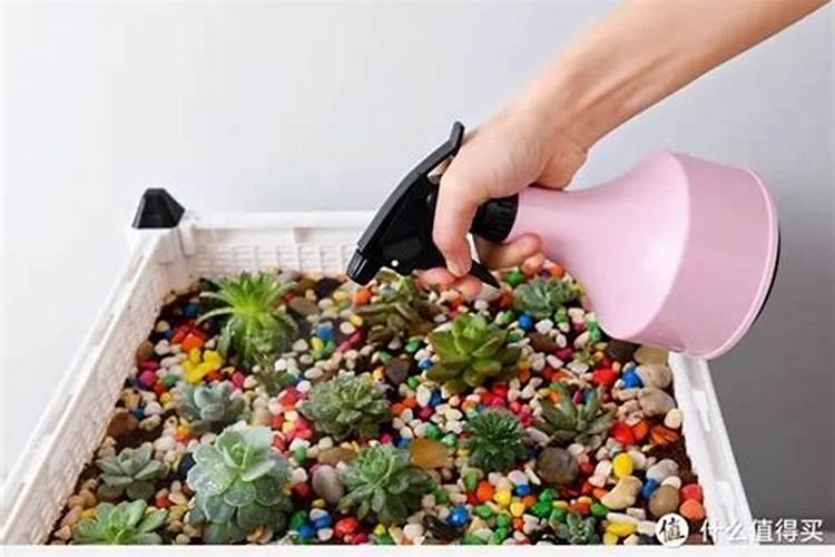 养花的碱性肥料有哪些